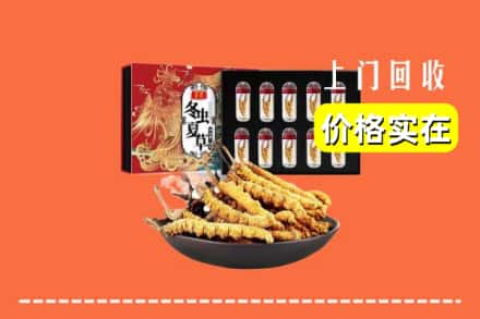 马关县回收冬虫夏草